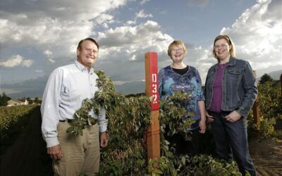 Utah Food Co-Packing & Private Label Manufacturing